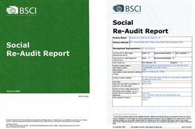 ME-LIFE: Socia Re-Audit Report