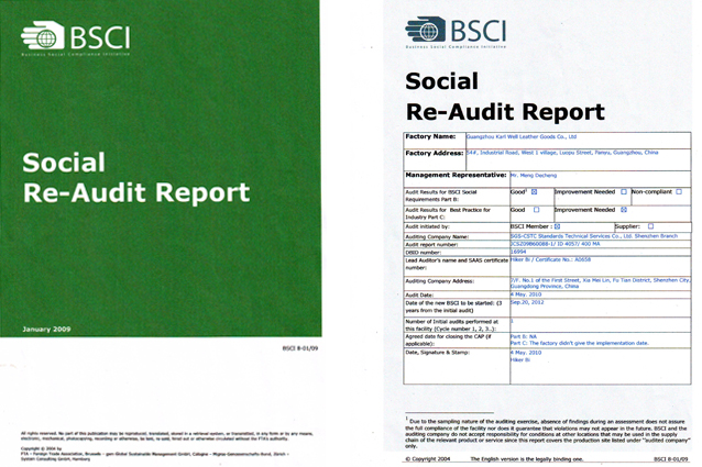 ME-LIFE: Socia Re-Audit Report