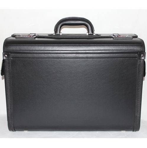 Pilot Case