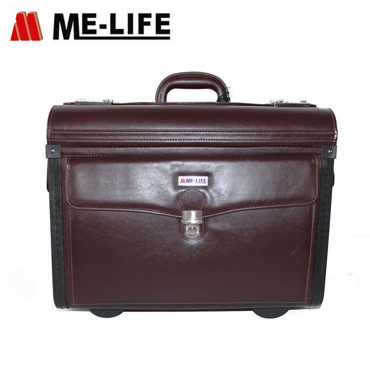 Pilot Case